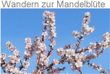 Wandern zur Mandelblte