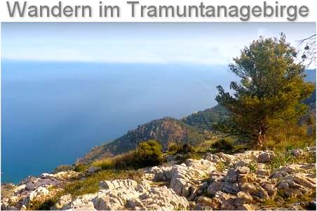 Wandern im Tramuntanagebirge